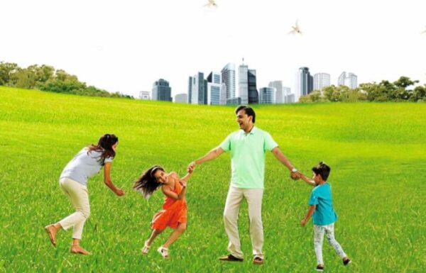 SDJS-Royal-City-Residential-Industrial-SCO-Plots-In-Sector-7-Badsa-Jhajjar-1024×448